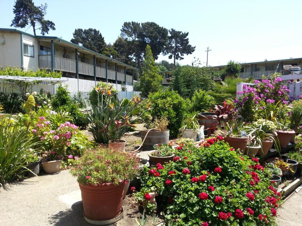 Travel Inn Vallejo Esterno foto